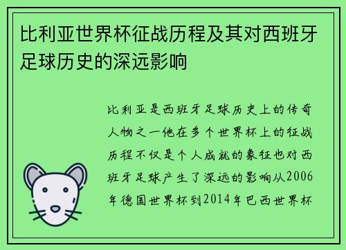 比利亚世界杯征战历程及其对西班牙足球历史的深远影响